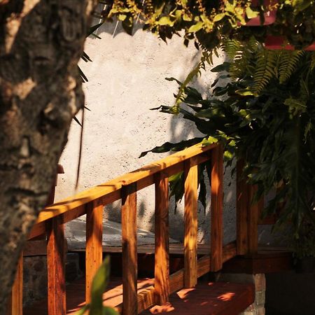 Casa Rustica Villa Atlixco Eksteriør billede