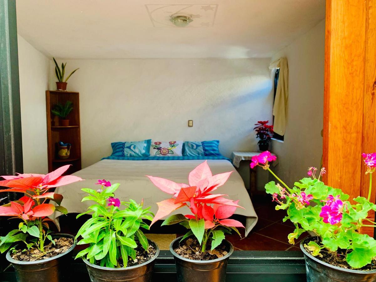 Casa Rustica Villa Atlixco Eksteriør billede
